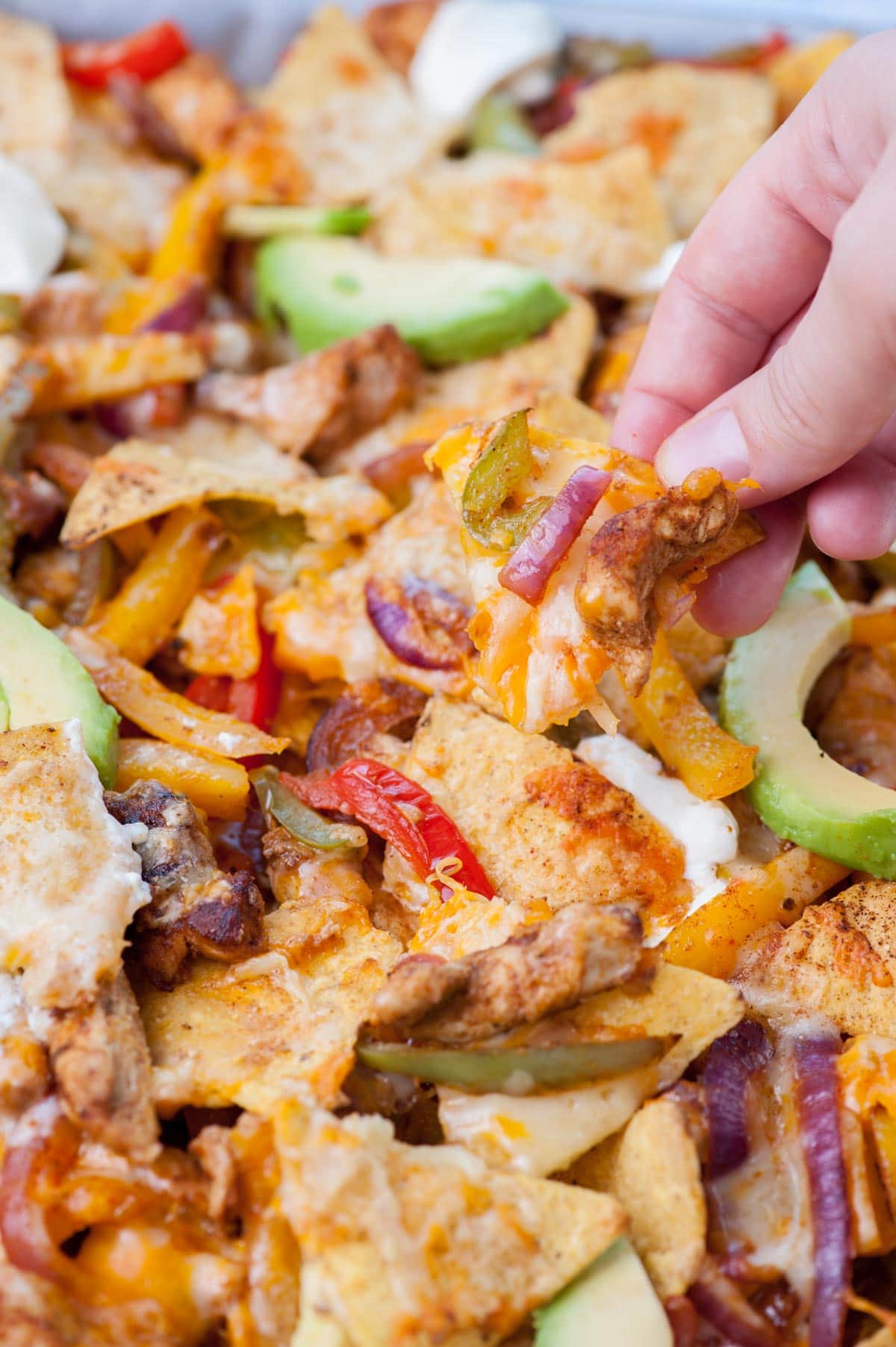 Chicken fajita nachos on a baking sheet, 1 nacho held in a hand.