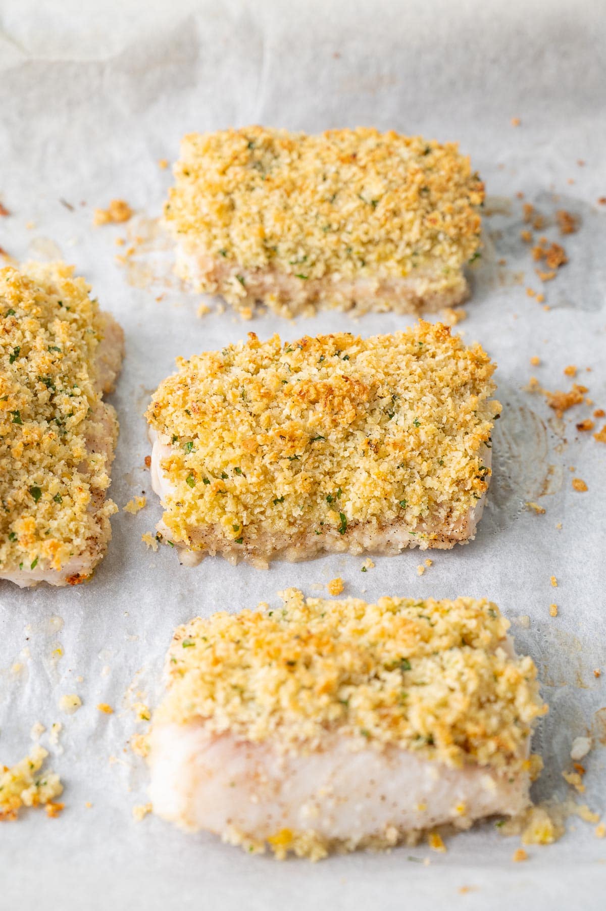 Parmesan crusted cod fillets on a baking sheet.